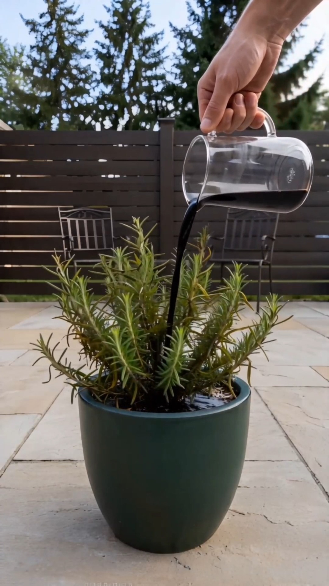 Activate Your Soil, Unlock Powerful Plant Growth!