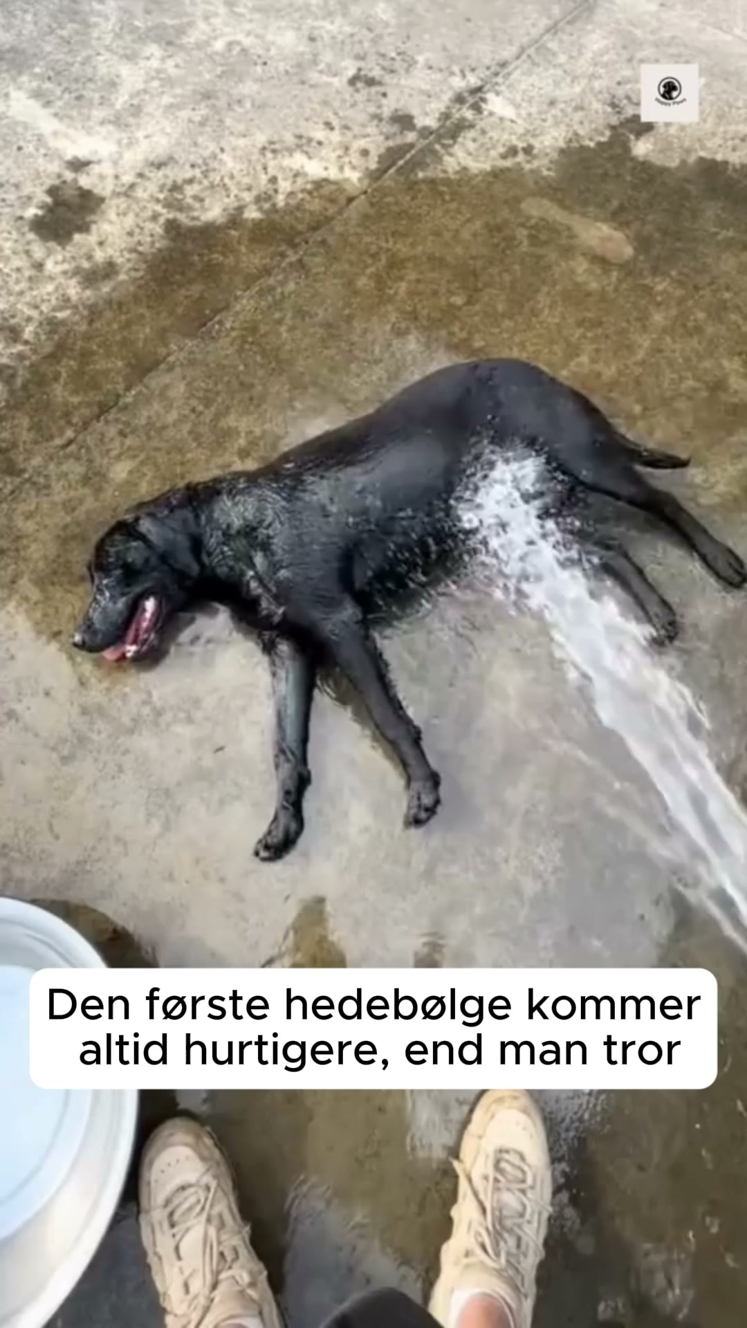 Prøv den i 30 dage – helt risikofrit