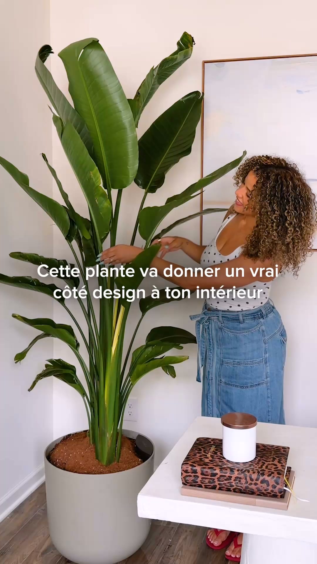 Des plantes qui s'arrosent toutes seules