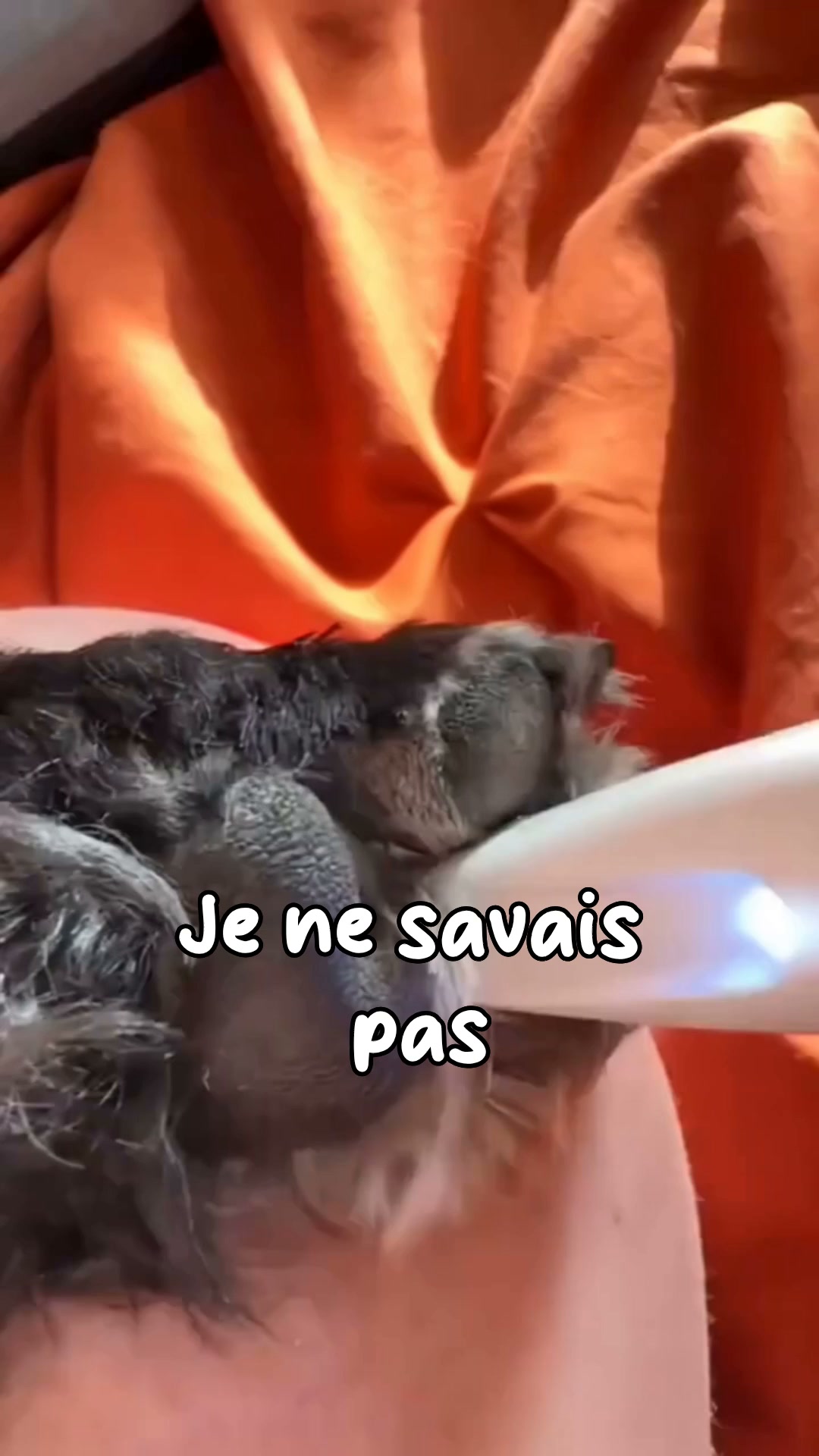 50% AUJOURD'HUI • Livraison offerte