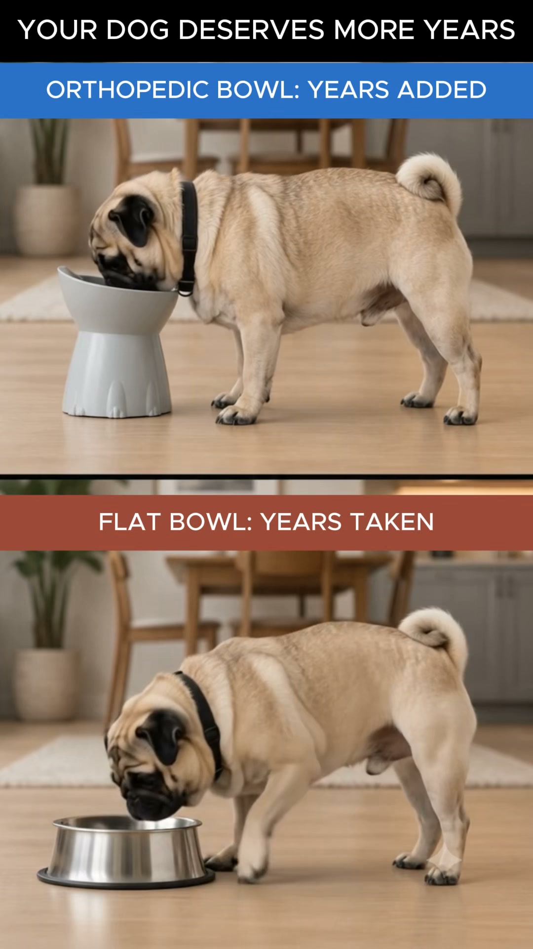 Orthopedic Bowl