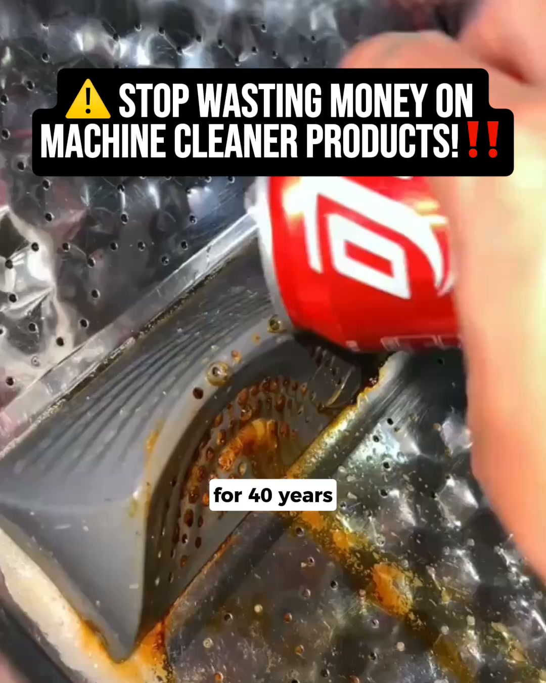 If your washing smells like a wet dog straight out of the machine... this germ is why
