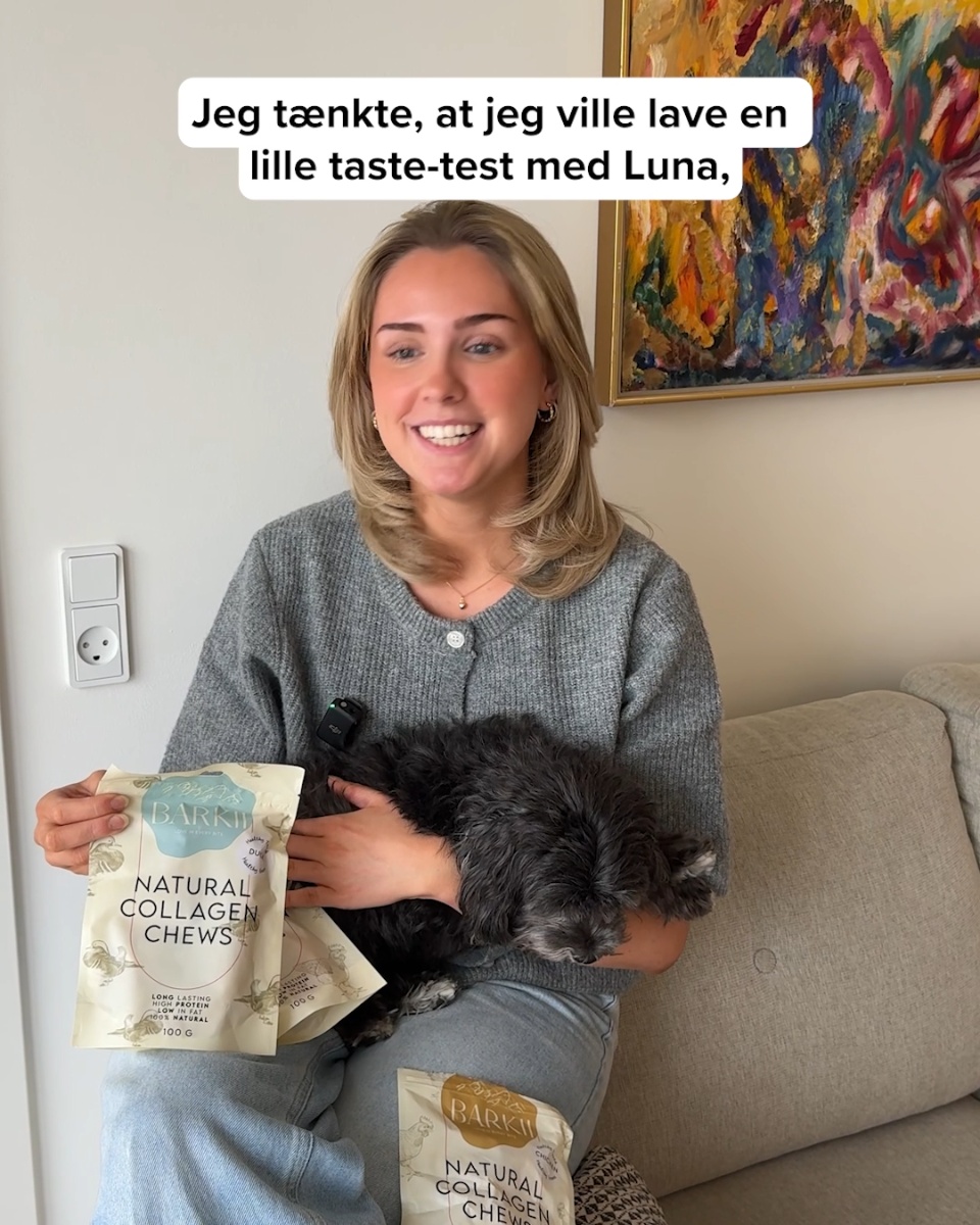 Din hunds nye favorit-snack?