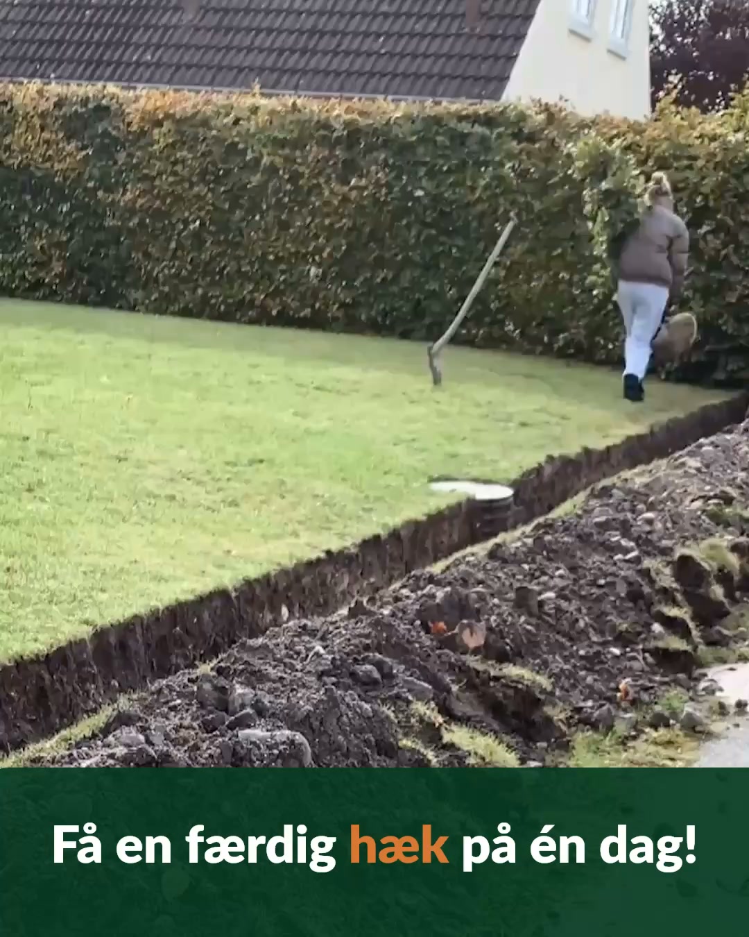 Find din hæk her