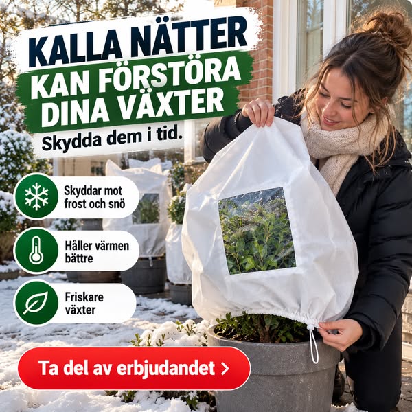 Skydda dina växter i vinter!