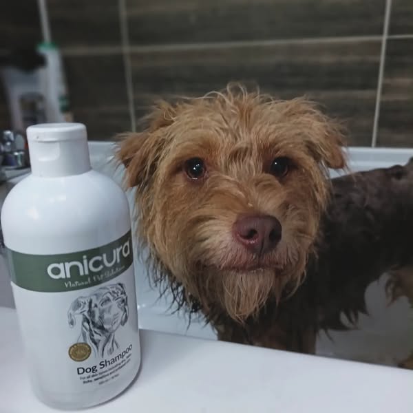 Anicura Natural Pet Solutions - Effective Skincare for your Pet