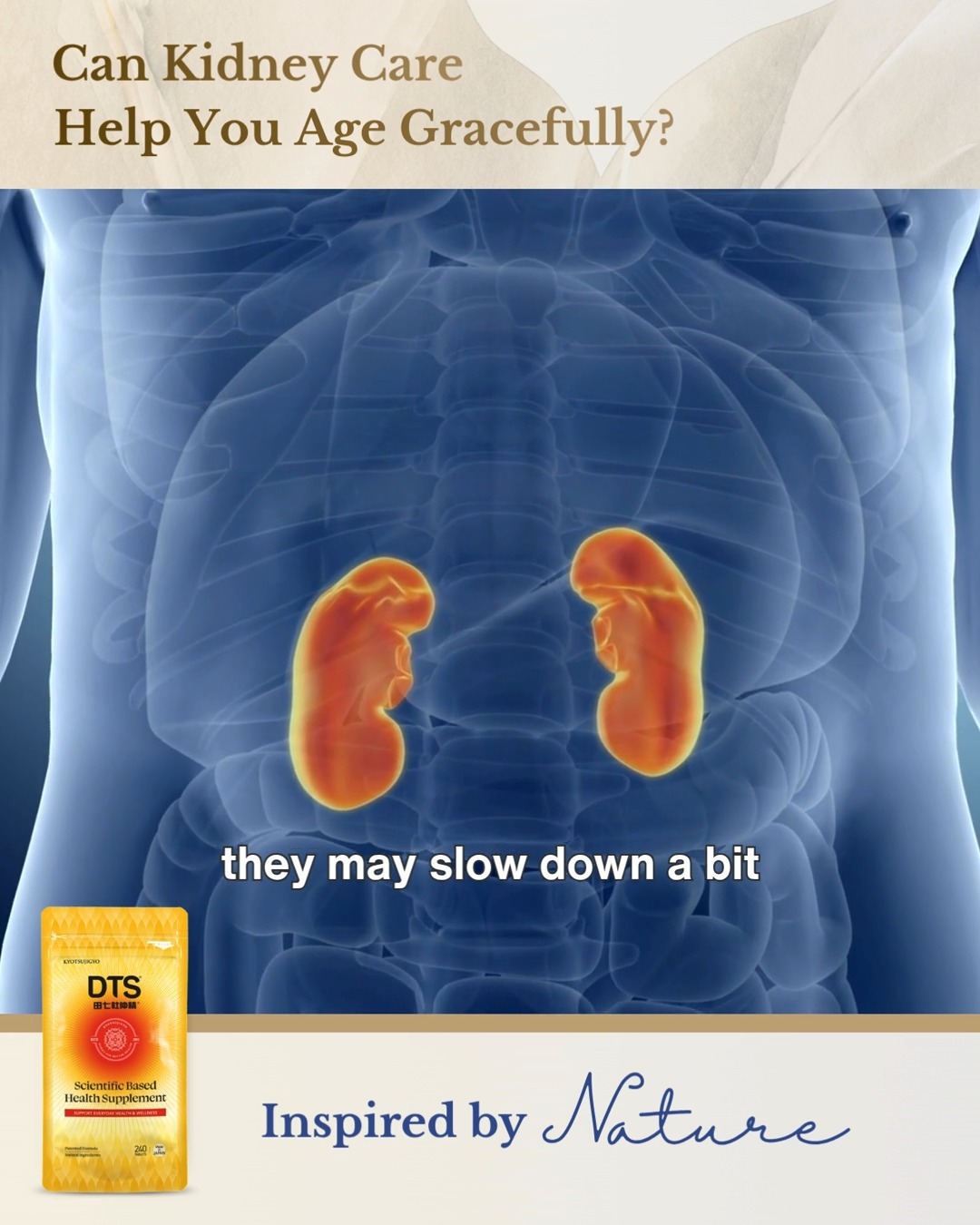 A Natural Routine for Kidney & Liver Wellness