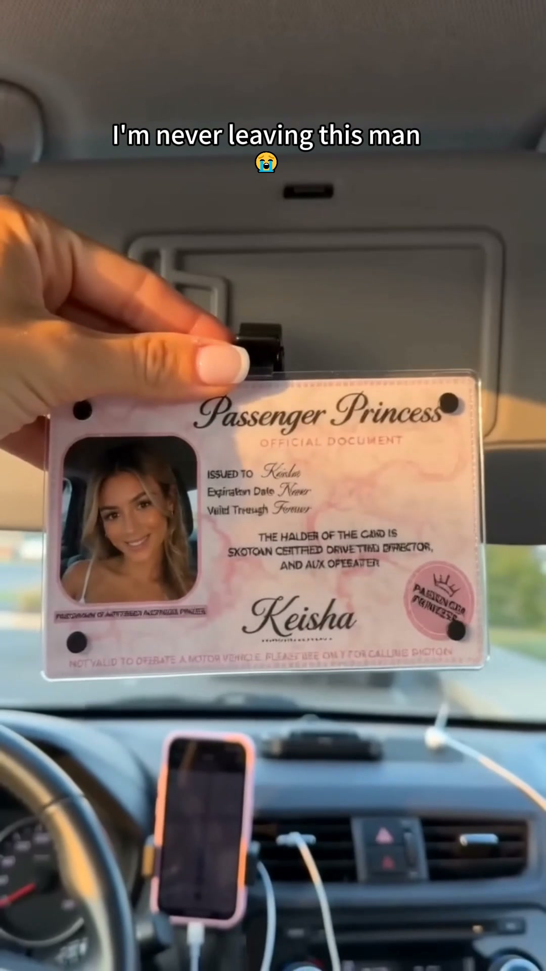 The Ultimate Passenger Princess Upgrade