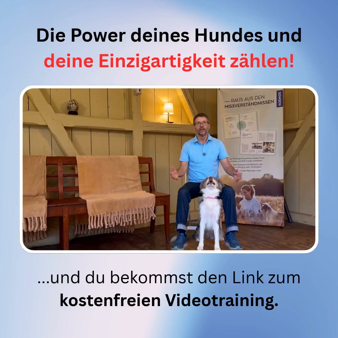 Dein Hund. Du. Euer Weg.