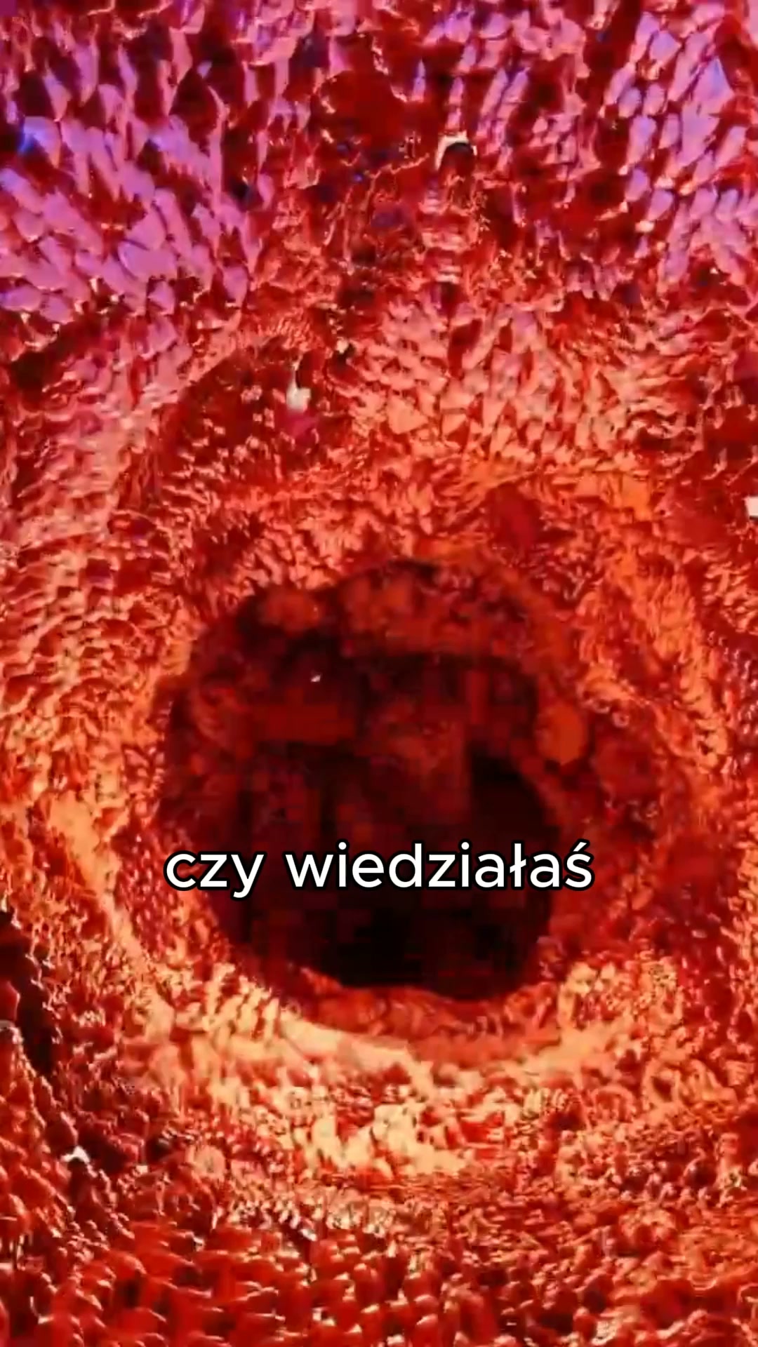KUP TERAZ -50%
