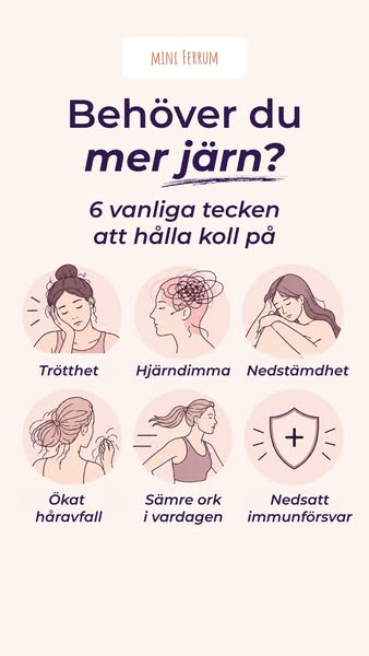 Nöjda kunder 4.8/5