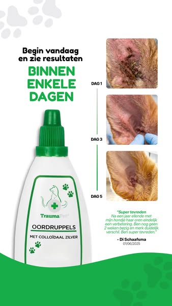 Alleen het beste voor je viervoeter