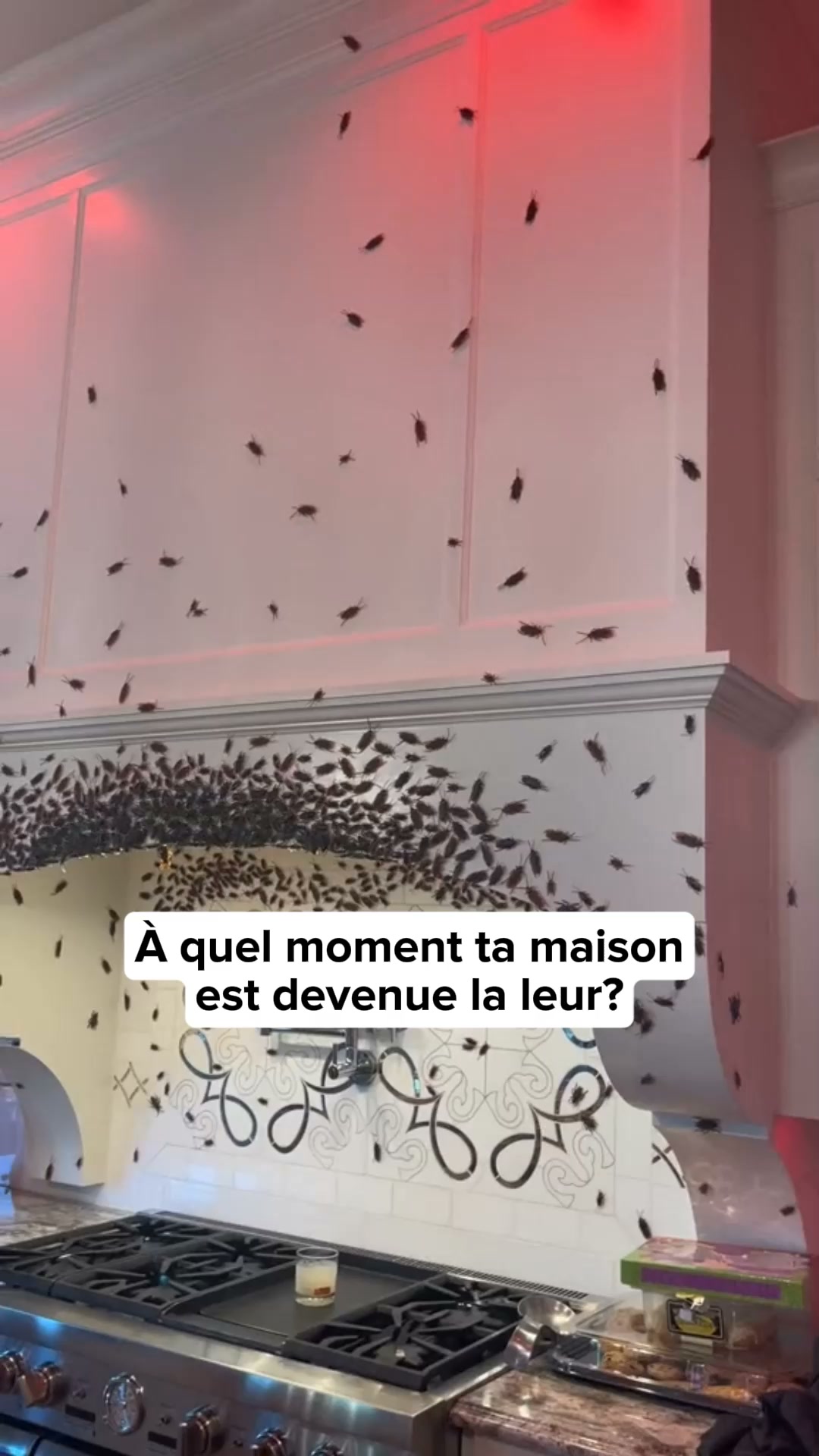 Reprends ta maison.