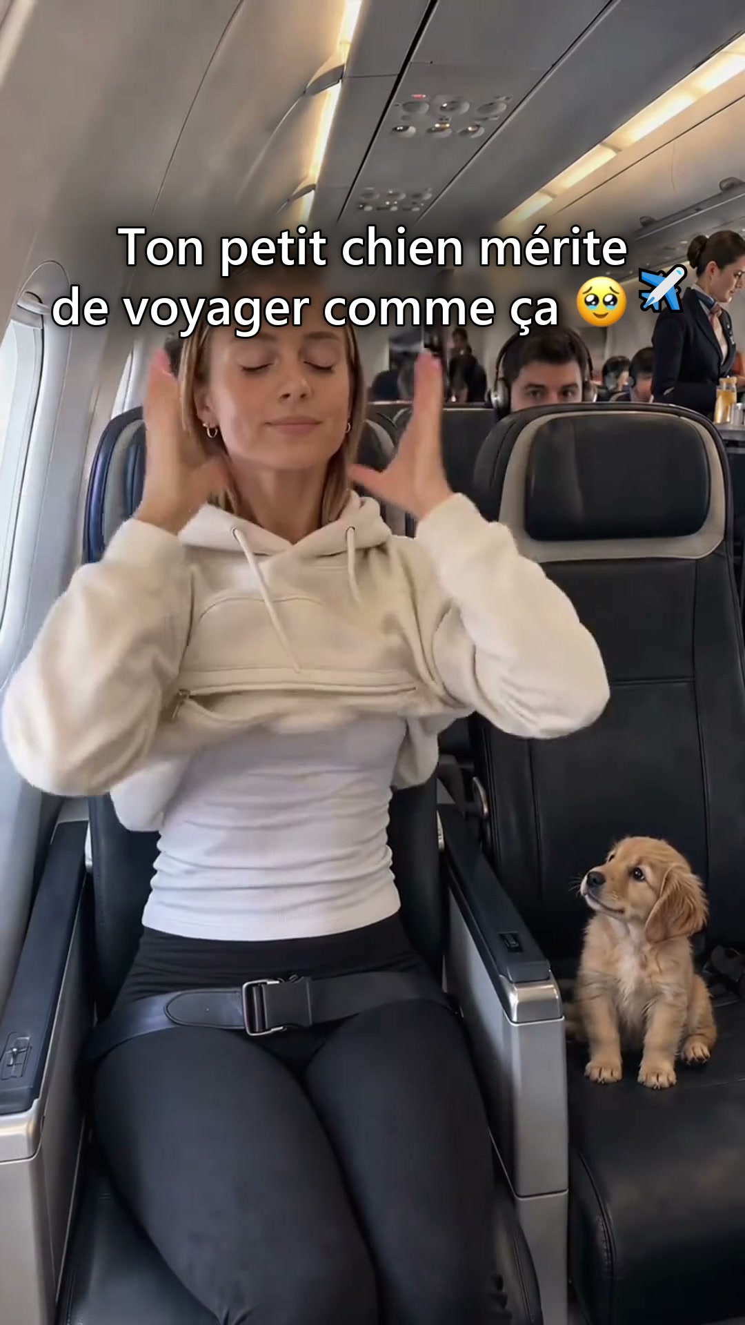 Le sweat des voyageuses à 4 pattes