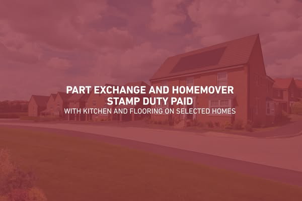 Request more information