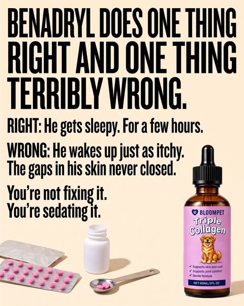 Benadryl made him sleepy, not less itchy