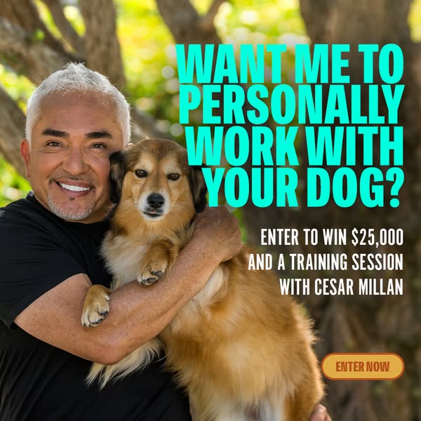 Win $25,000 and a Private Training Session with Me