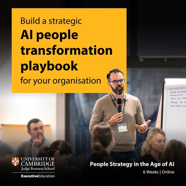 Build your AI playbook