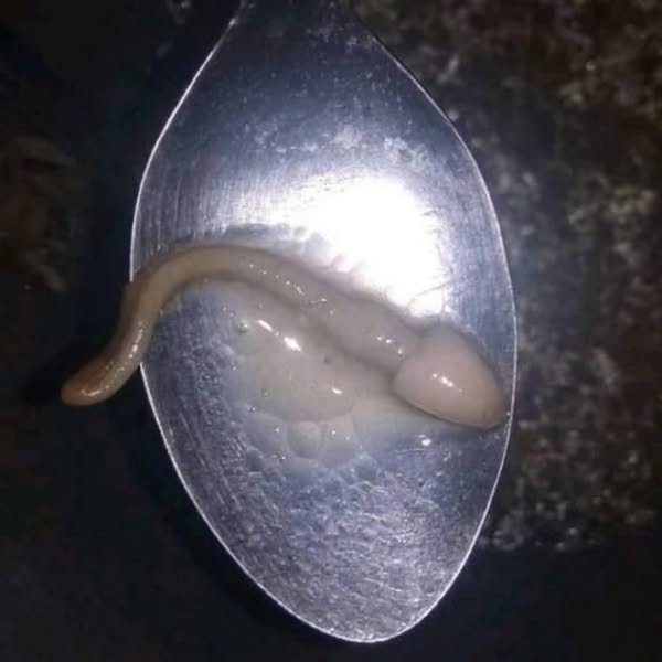 How I Increased My Sperm Count