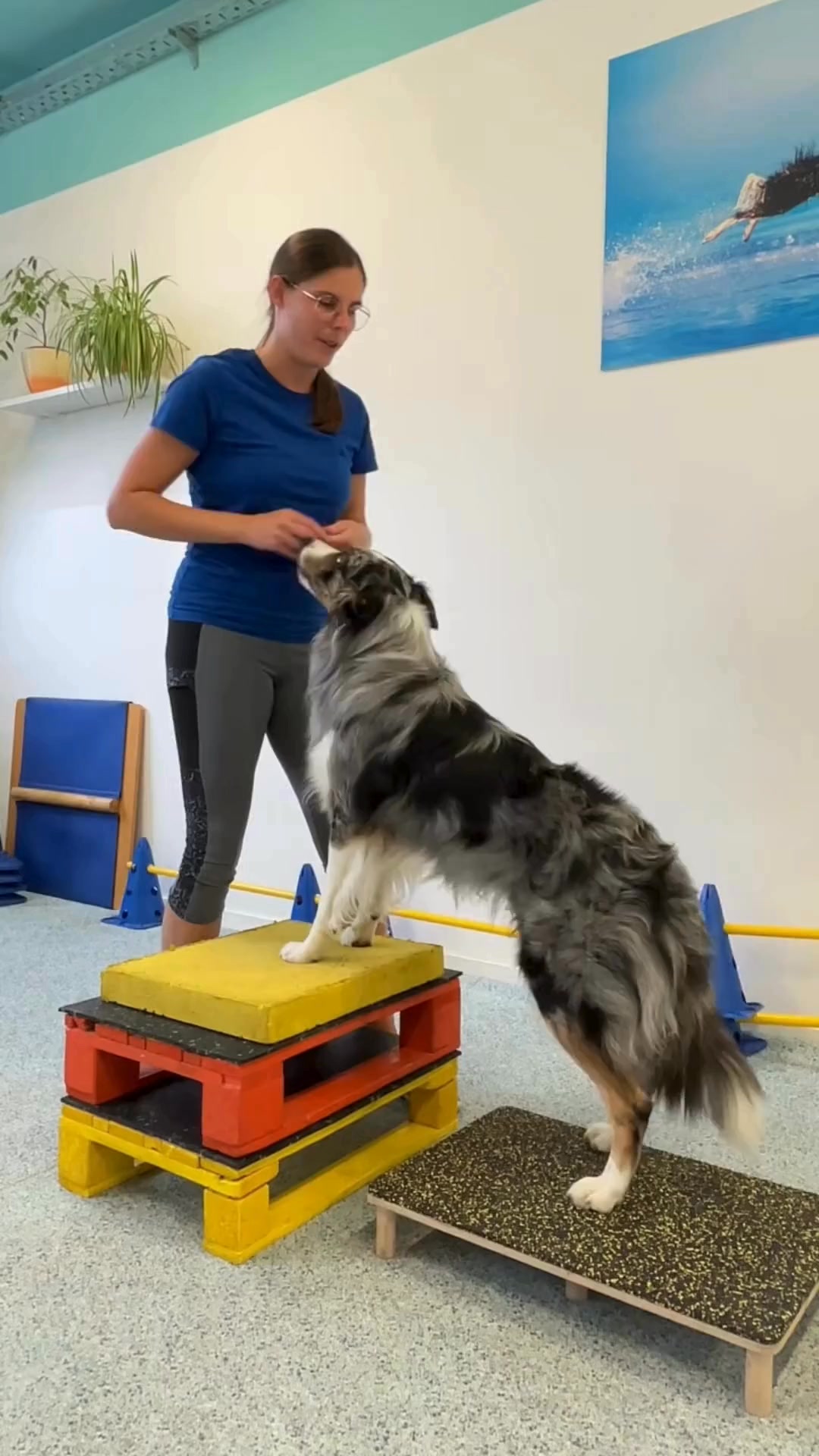 NEW: Mastering Mobility