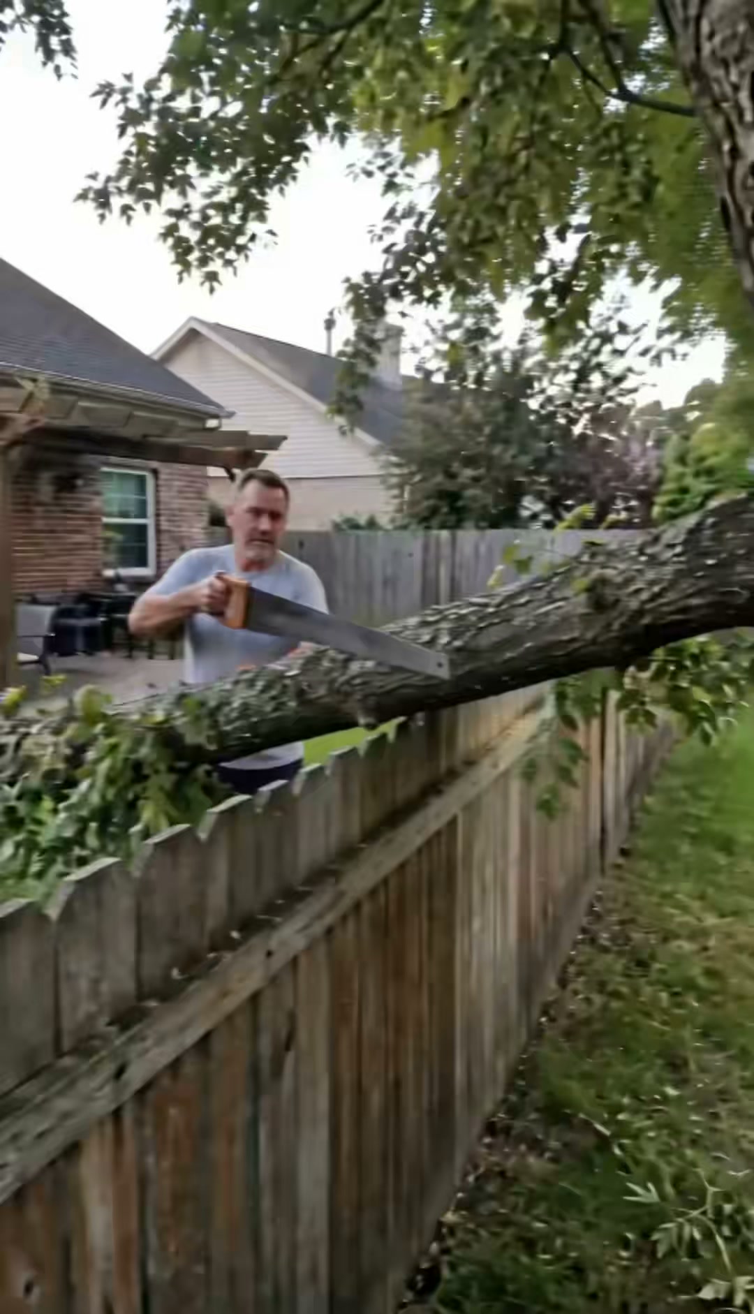 The Ultimate Pocket-Sized Power Tool for Your Yard!