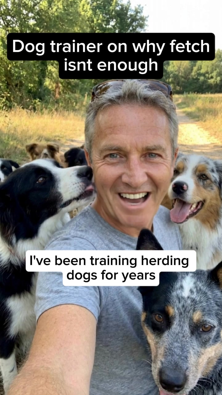 The One Thing Your Dog Actually Needs