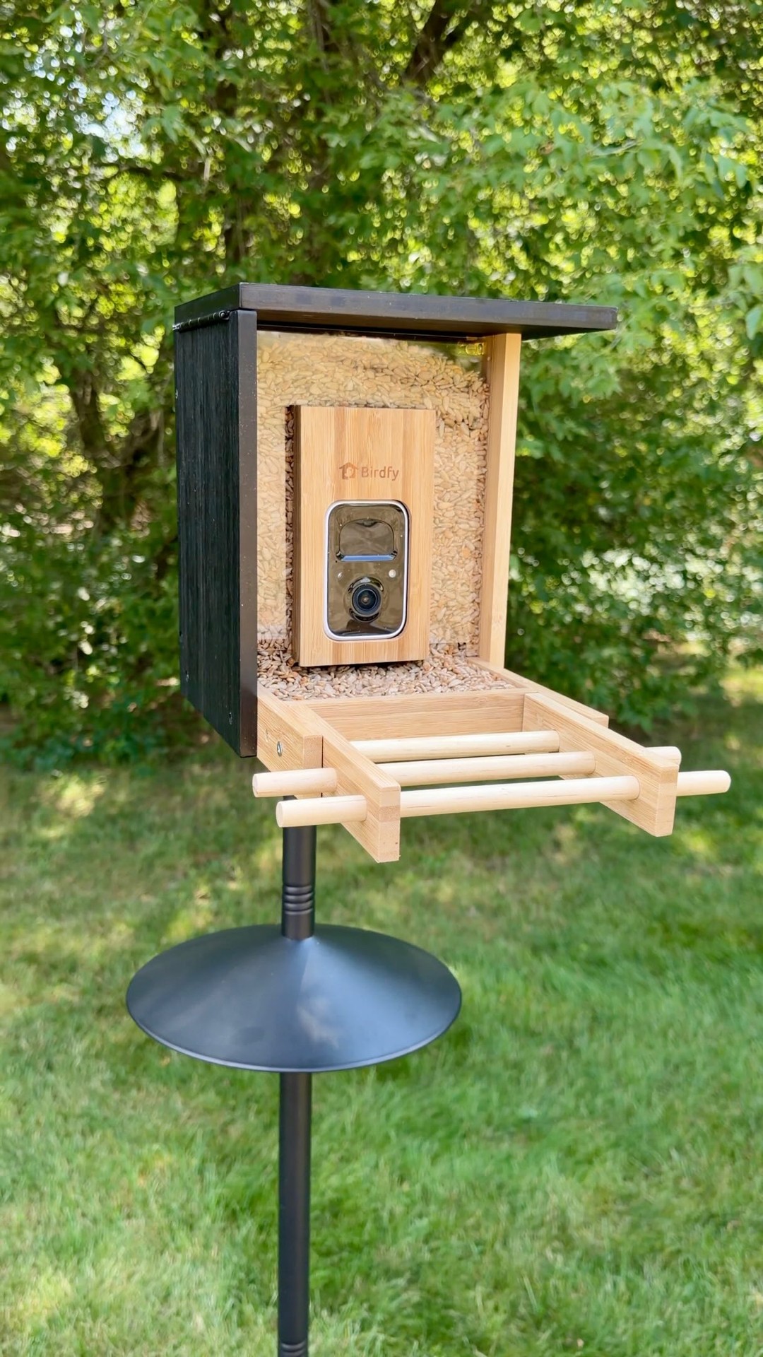 Anúncio de Birdfy
