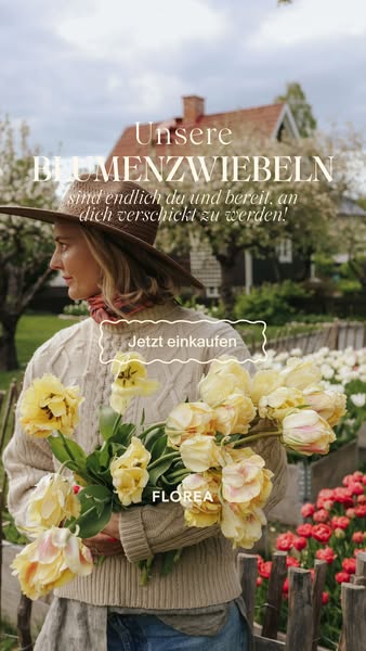 Die Herbstzwiebeln