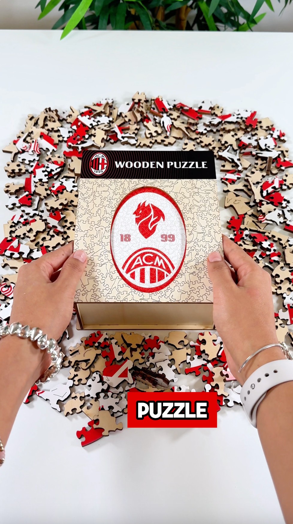 Il regalo perfetto per milanisti veri
