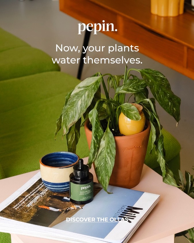 Your new plant sitter