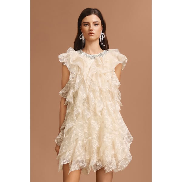 Waner Round Neck Diamond Sleeveless Folds Mini Dress
