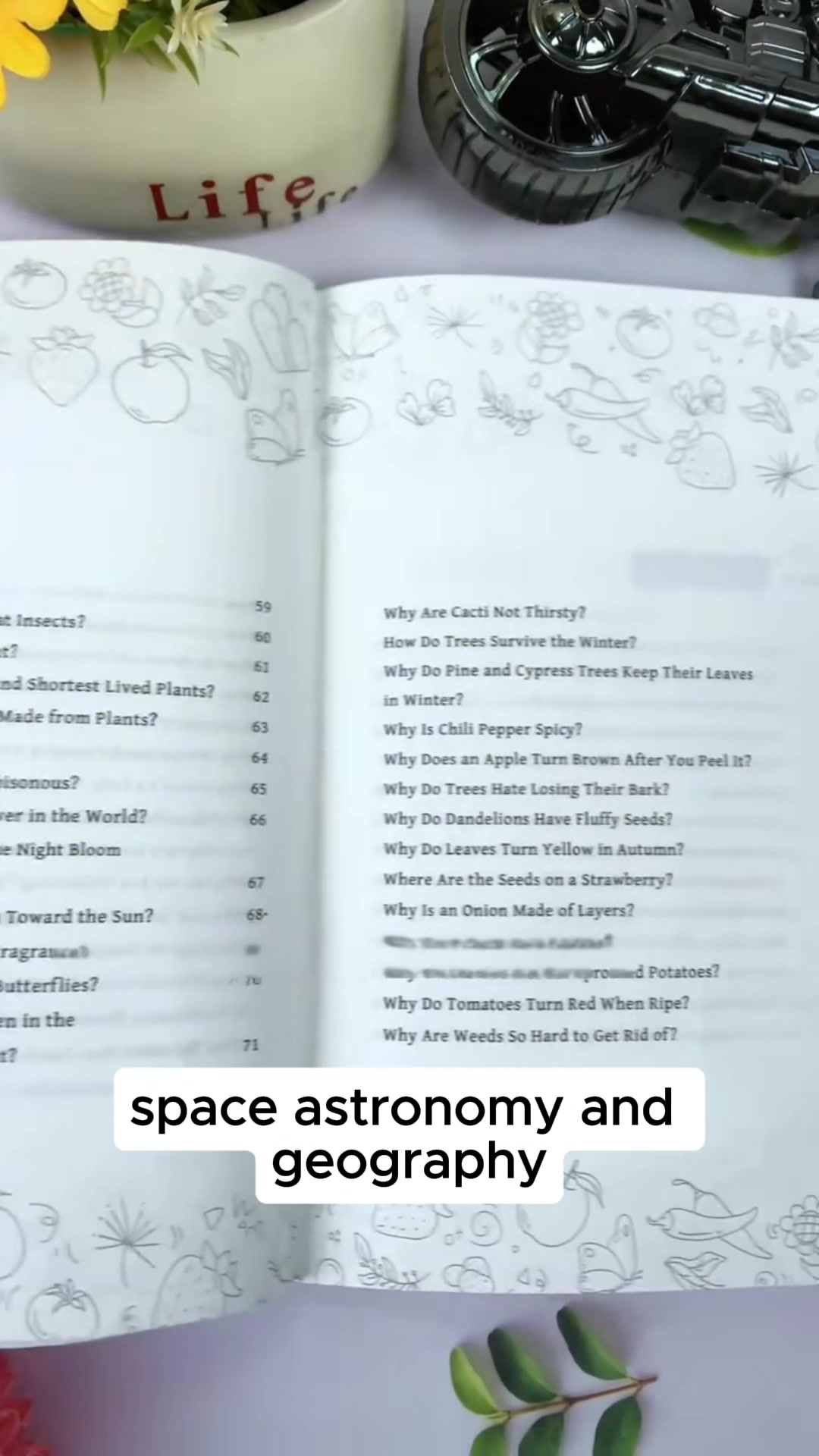The Book That Makes Other Parents Ask "How Does Your Kid Know That?"