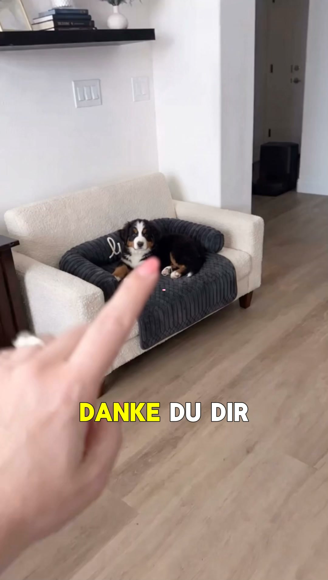 #1 Hundebett