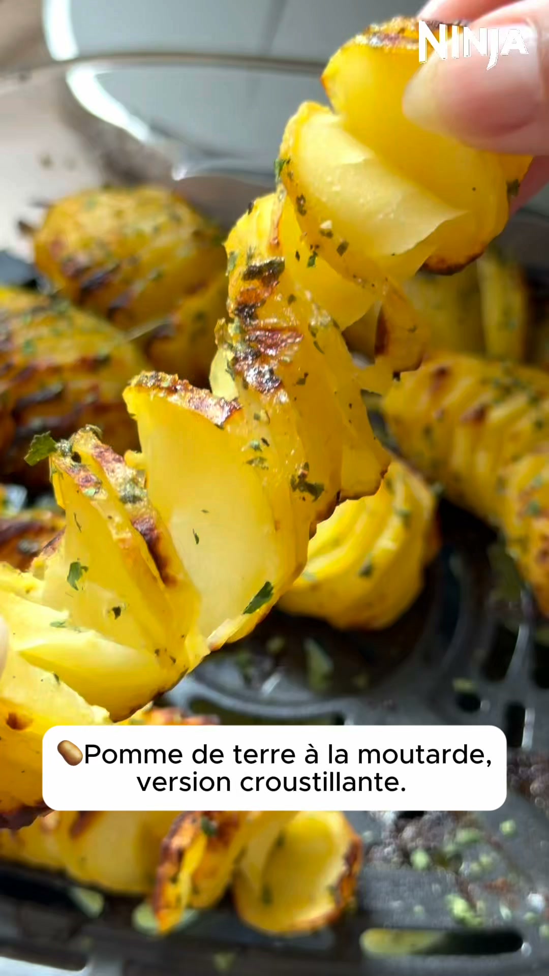 Ninja CRISPi PRO Air fryer en verre
