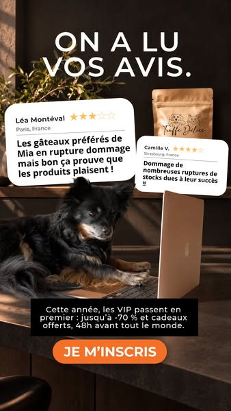 Black Month : accès VIP les 1er et 2 novembre