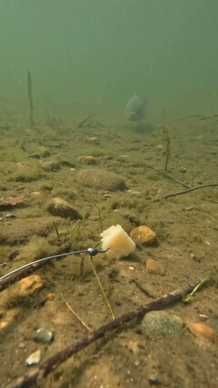 Pre-Tied Off Bottom Fishing Rig | Anti-Snag Floating Bottom Hook Leaders