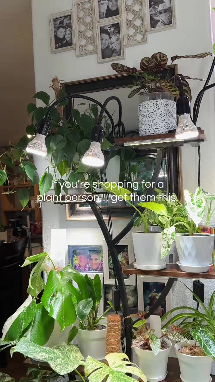 Dual Head Full Spectrum LED Grow Light News