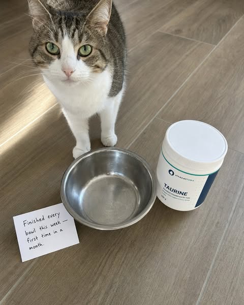 Six Days. Clean Bowl Every Time.