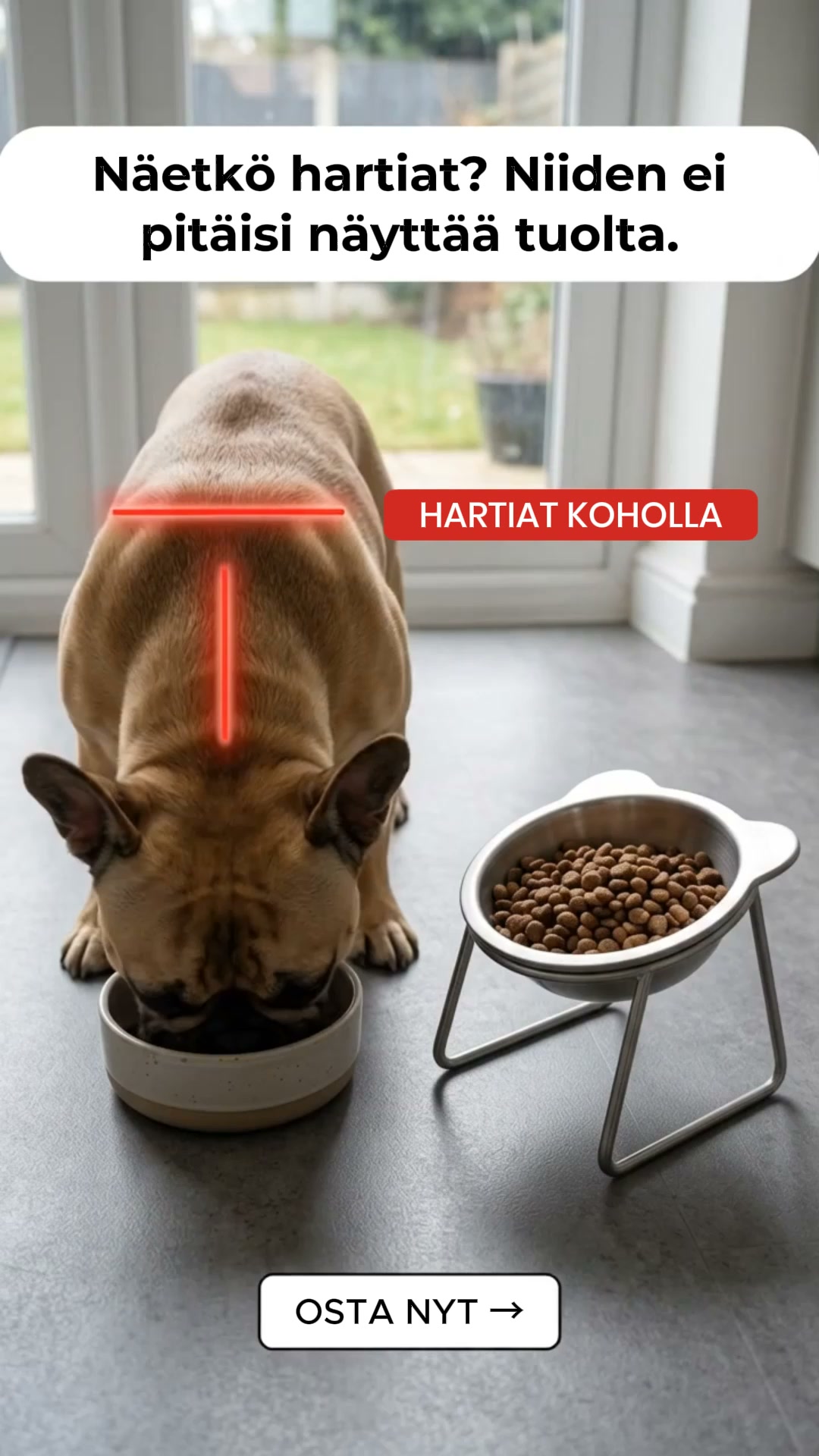 Unohda muovi. Paranna ruokailuhetkeä.