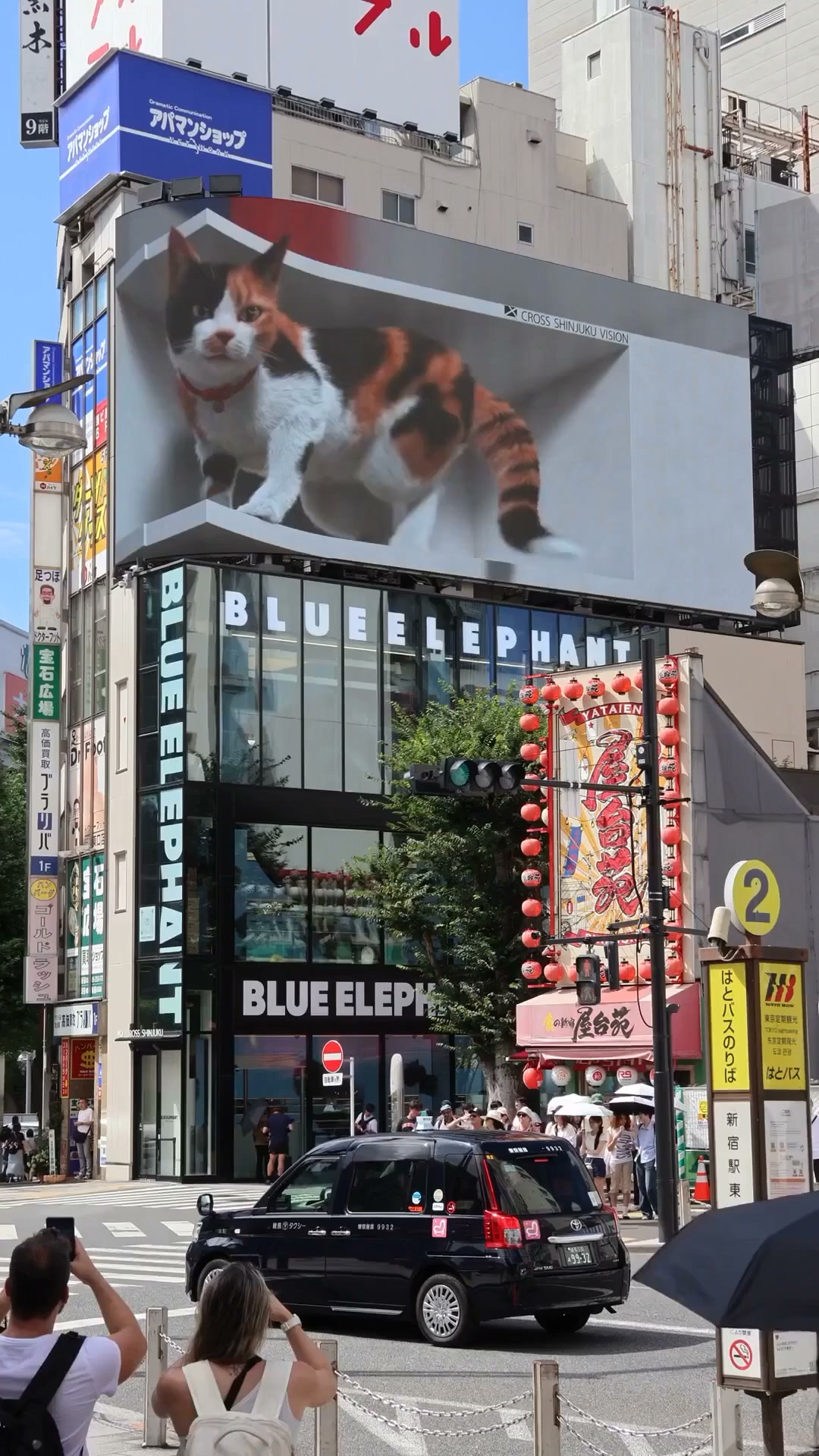 El snack dental de los gatos japoneses