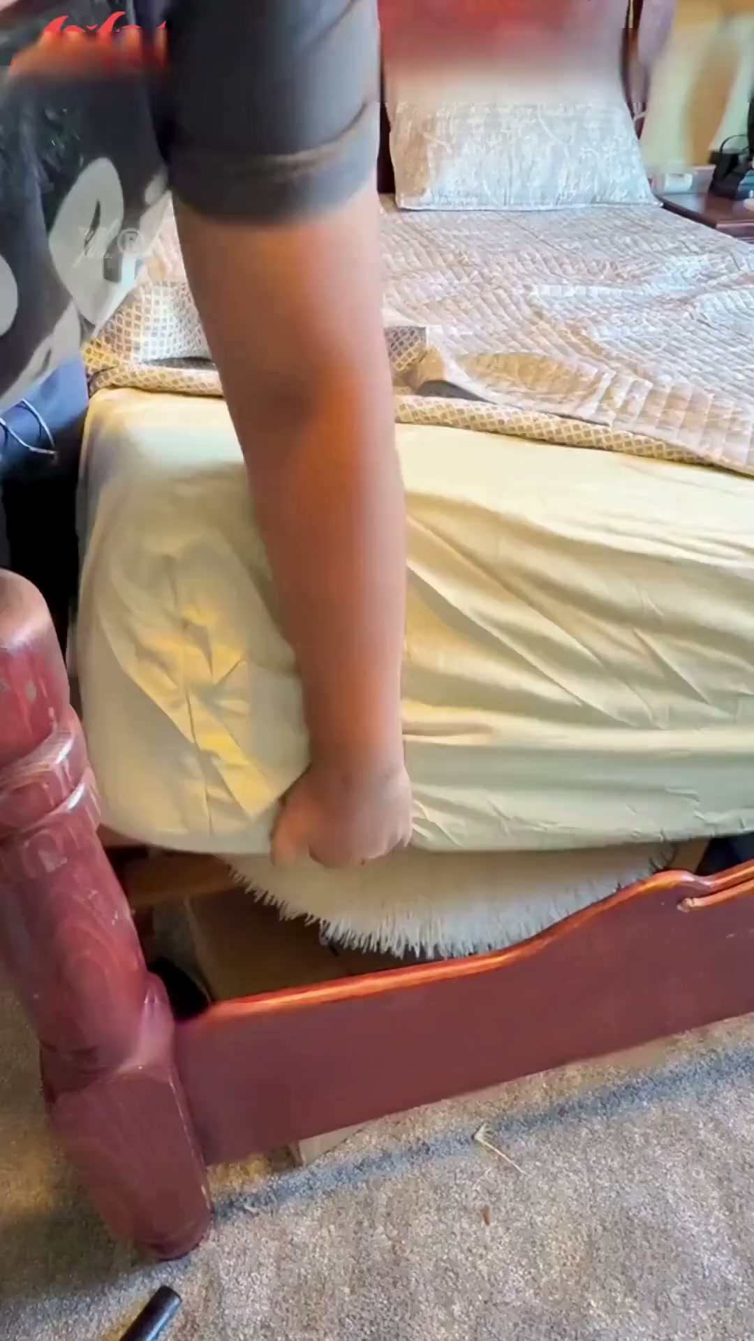 Anúncio de Toerjii