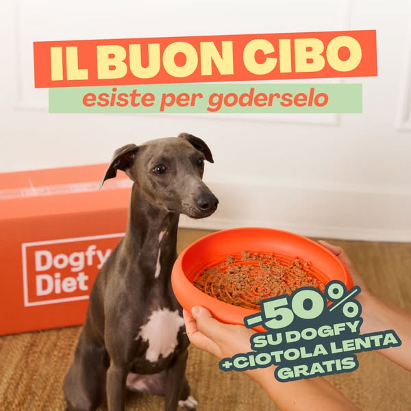 Al buon cibo, il ritmo giusto Ora la tua prima box Dogfy arriva con una ciotola anti-ingozzamento in regalo