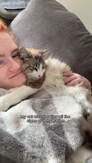 This Is A Must-Have For All Cat Parents!