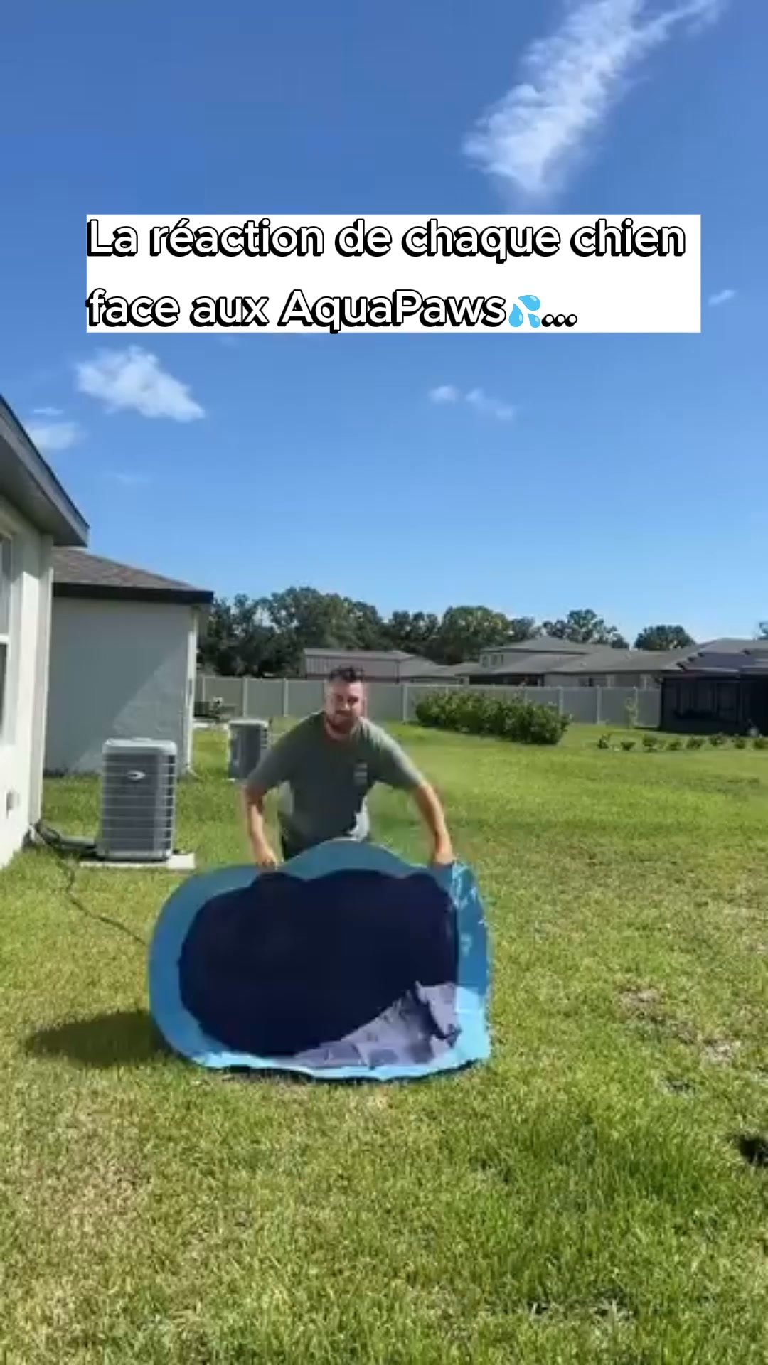 Canicule = danger pour votre chien