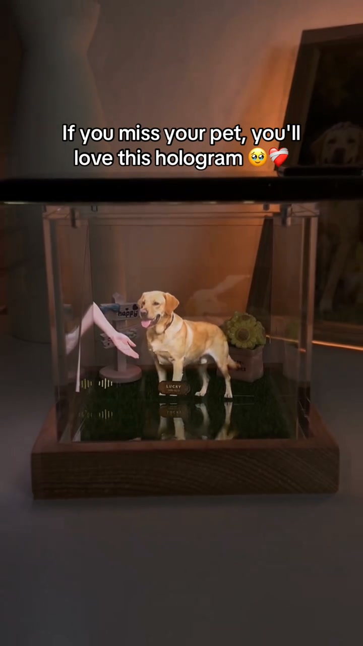 𝓑𝓮𝓼𝓽 𝓟𝓮𝓽 𝓛𝓸𝓿𝓮𝓻 𝓖𝓲𝓯𝓽𝓼