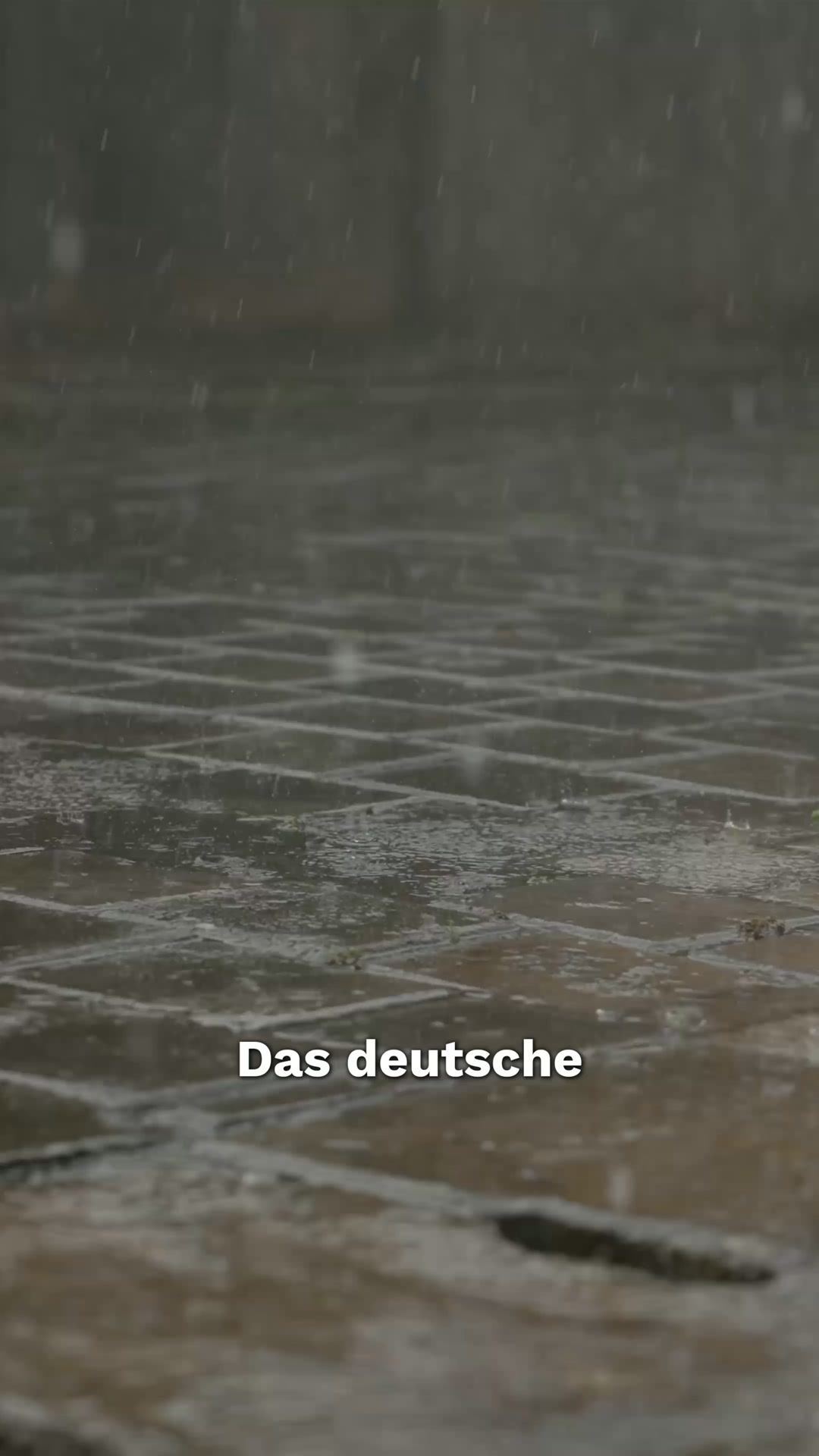 +200.000 glückliche Kunden