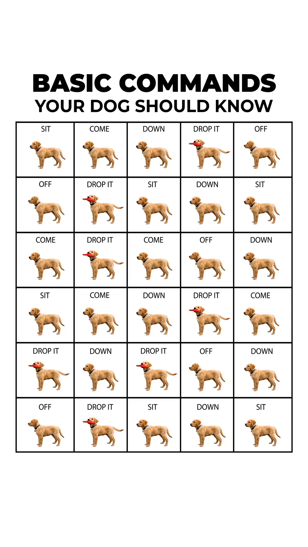 Professional Dog Training Made Simple