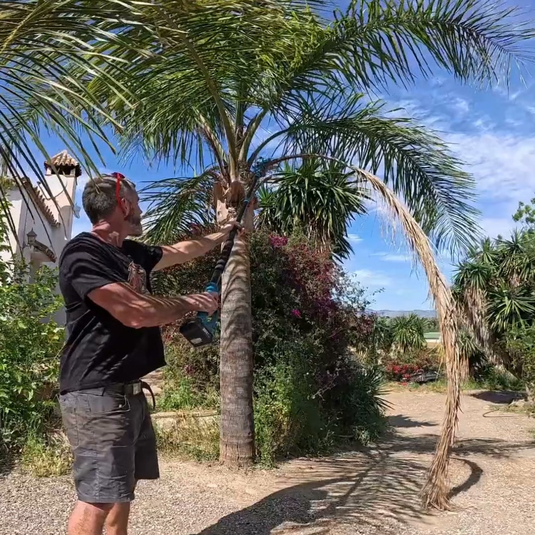 6" chainsaw. 25mm pruner. 2m pole. 180° angle. One tool, every branch