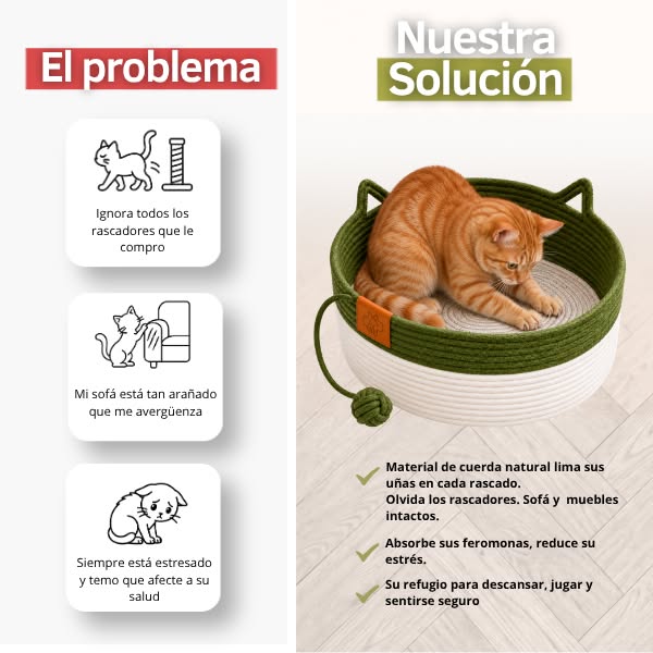 60 días sin riesgo de aprobación felina