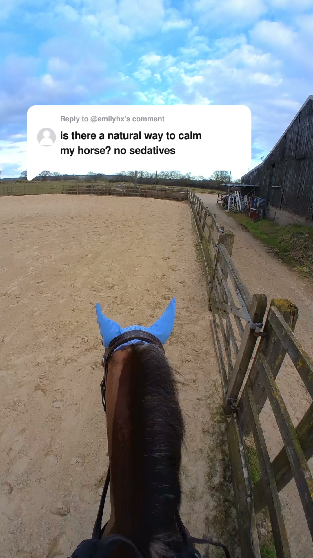Purpose-Built Nutrition for Horses.
